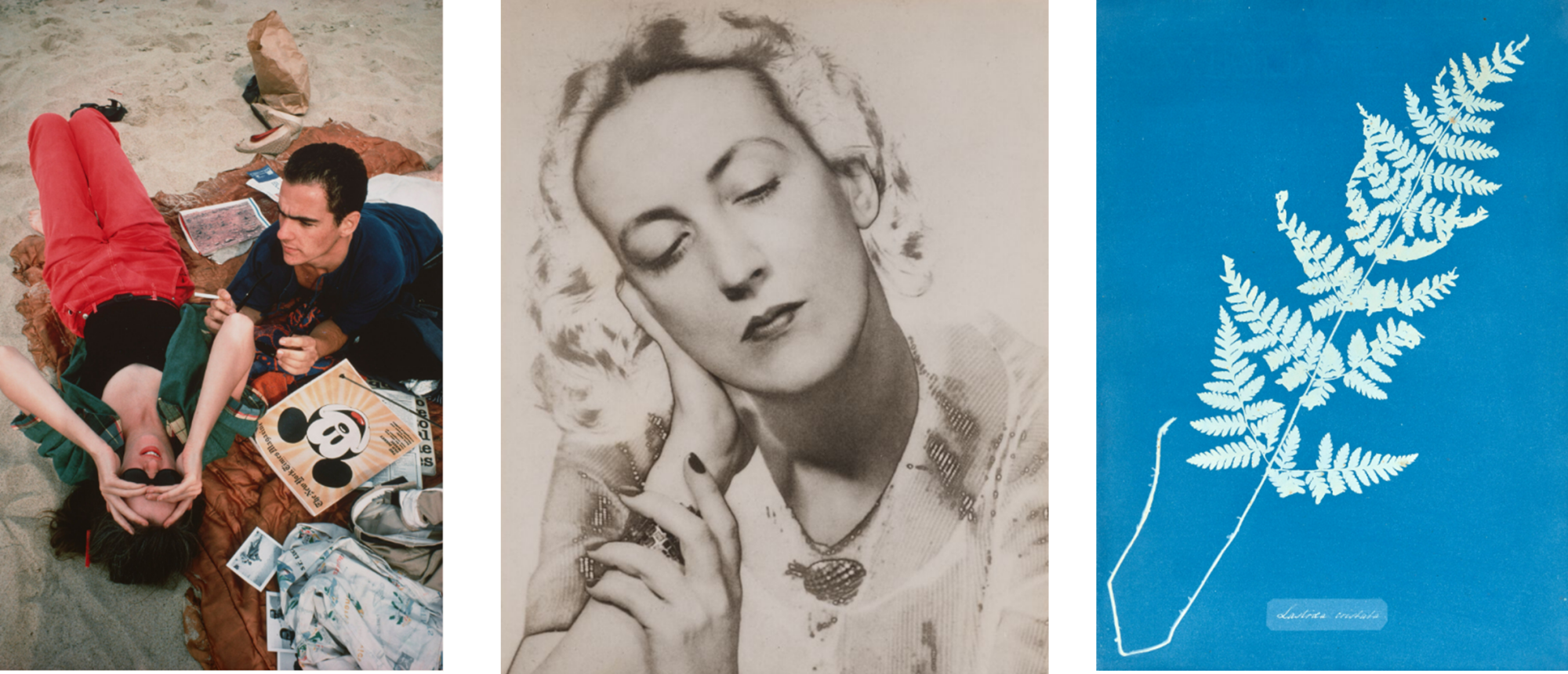 <strong>A CENTURY OF ART: PHOTOGRAPHS FROM THE GERALD FINEBERG COLLECTION</strong>