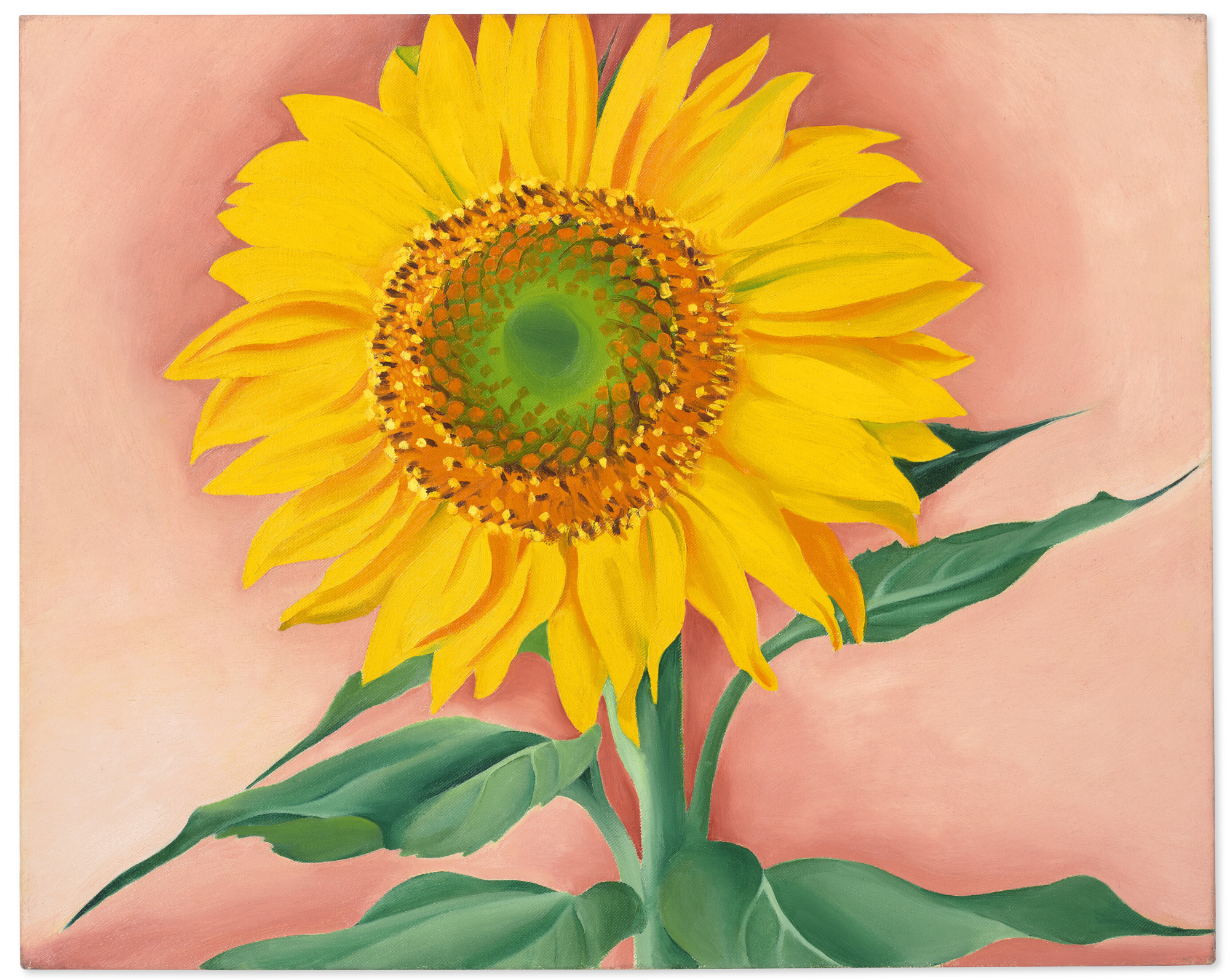 Christie’s 20th Century Evening Sale Presents Georgia O’Keeffe’s A Sunflower From Maggie
