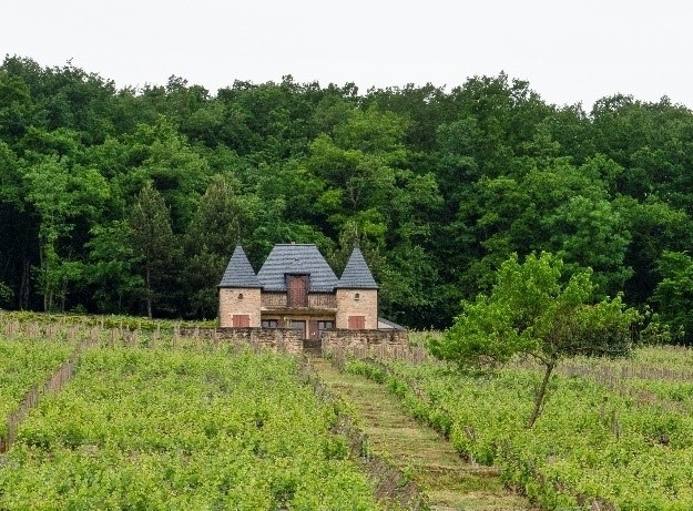 DOMAINE PONSOT