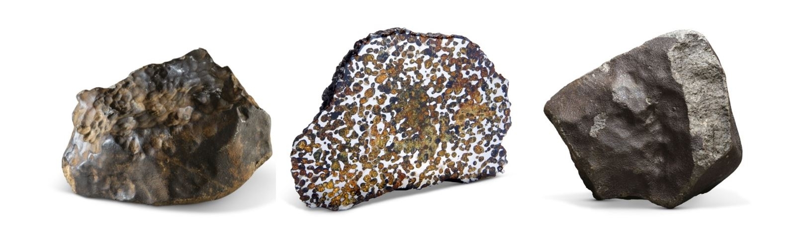 METEORITES FROM THE COLLECTION OF MICHAEL FARMER