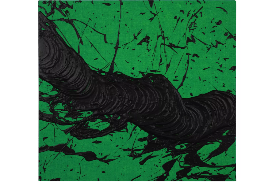 ENERGY LINES: FABIENNE VERDIER