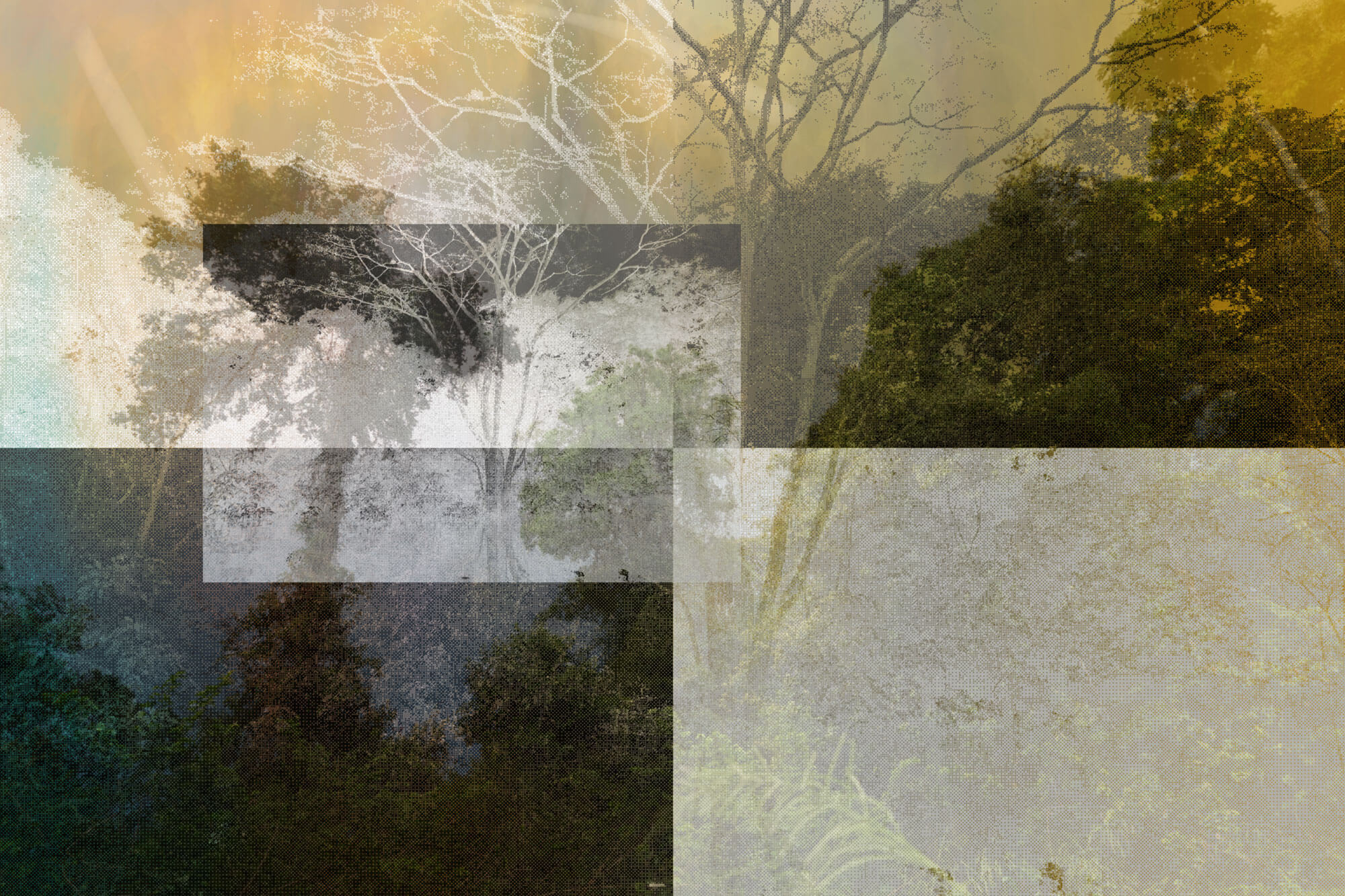 CREATING CONNECTIONS – DIGITAL ART FOR CONNECTIVITY